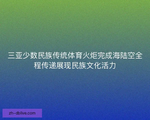 三亚少数民族传统体育火炬完成海陆空全程传递展现民族文化活力