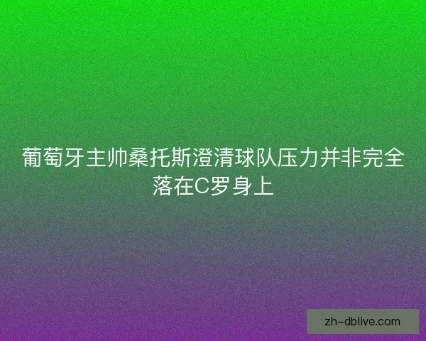 葡萄牙主帅桑托斯澄清球队压力并非完全落在C罗身上