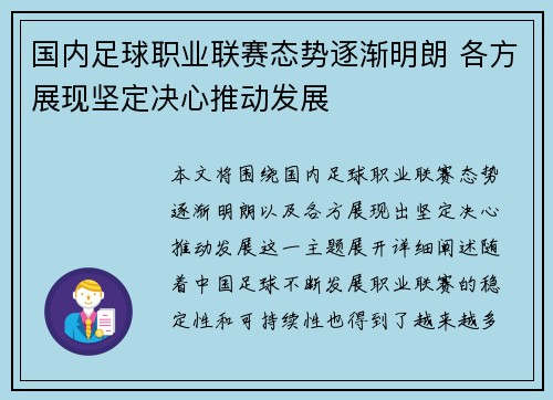 国内足球职业联赛态势逐渐明朗 各方展现坚定决心推动发展